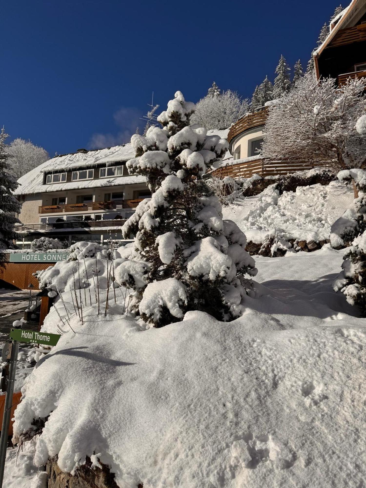 Hotel Sonnenberg Garni هينترتزارتن المظهر الخارجي الصورة